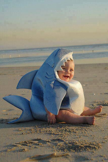 fantasia de tubarão na praia