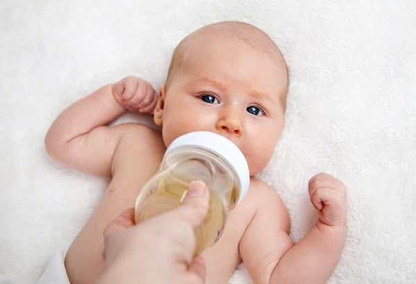 riscos e cuidados ao dar cha de erva doce para bebe