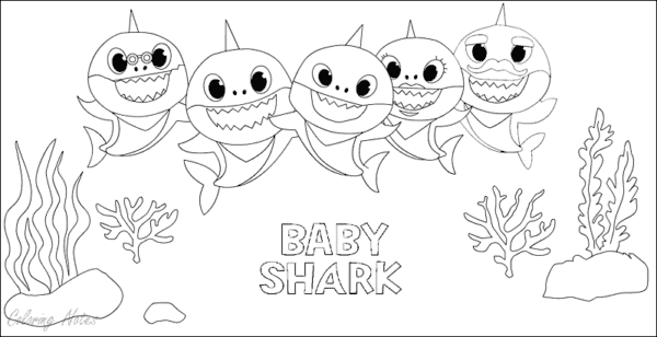 Baby Shark para colorir  Desenhos para colorir, Desenhos infantis para  colorir, Elefante para colorir