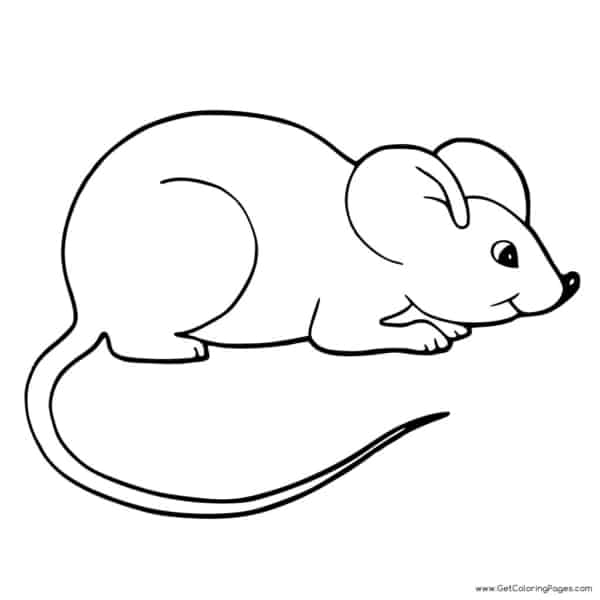 desenho simples de rato para pintar