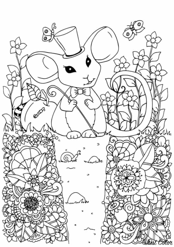desenho de rato com detalhes para colorir