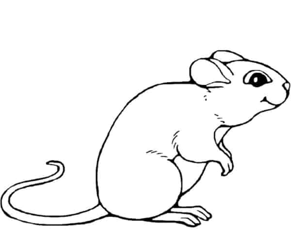 desenho facil de rato para colorir