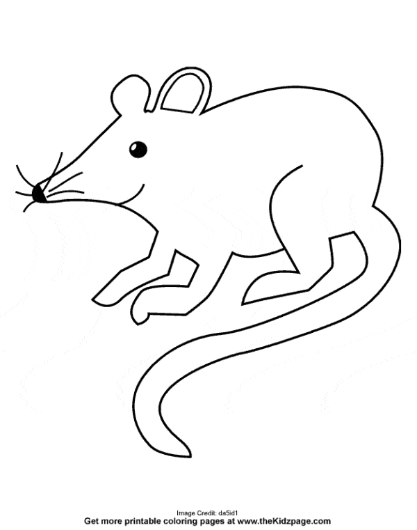 desenho de rato simples de pintar