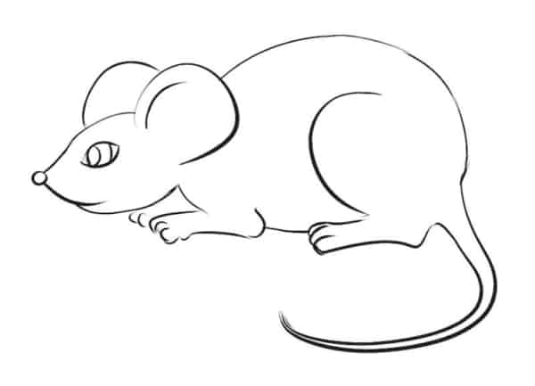  desenho simples de rato para colorir