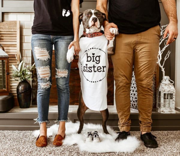 foto criativa com cachorro para anunciar gravidez