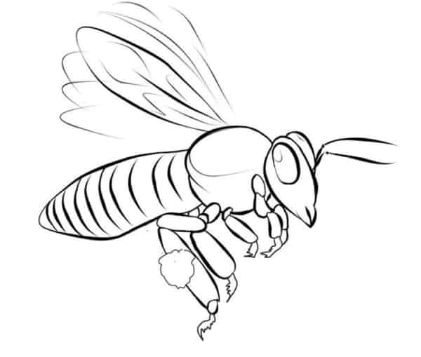 11 desenho de abelha voando para colorir