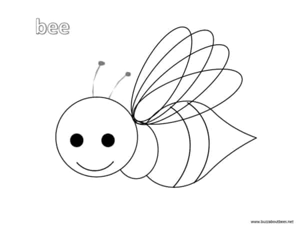 15 desenho para colorir de abelha voando