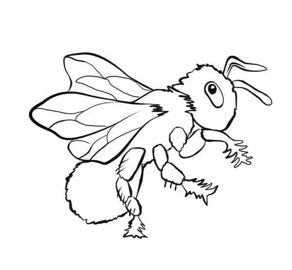 16 desenho para imprimir de abelha
