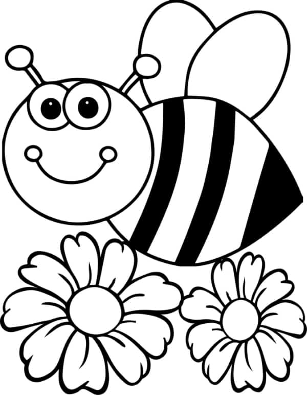 21 desenho de abelha nas flores para pintar
