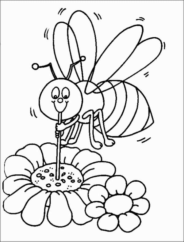 23 desenho de abelha pegando polen em flor