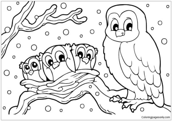 28 desenho de coruja com filhotes para pintar