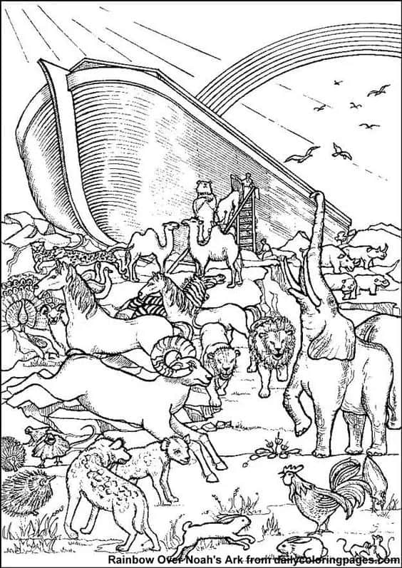 29 desenho Arca de Noe