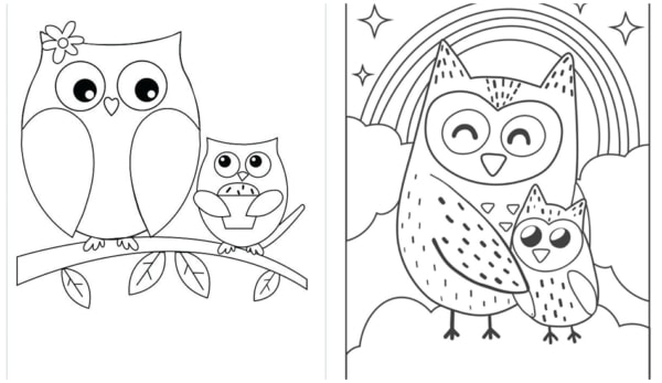 32 desenhos de corujas com filhotes para colorir