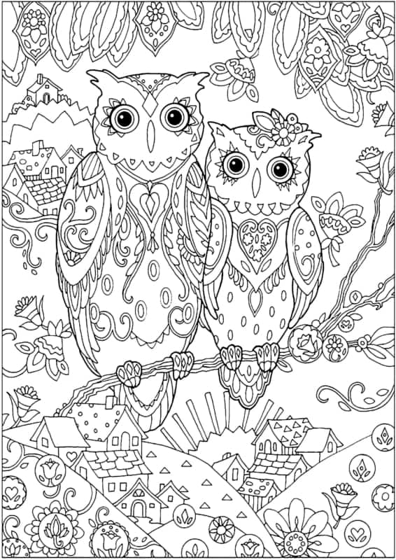 34 desenho de casal de corujas com detalhes para colorir