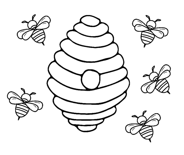 36 atividade de abelhas em colmeia para colorir
