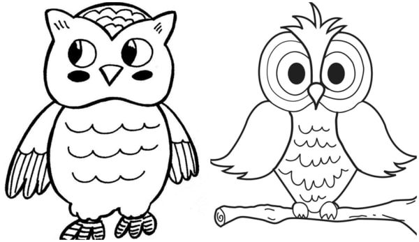 8 desenhos simples de corujas para colorir