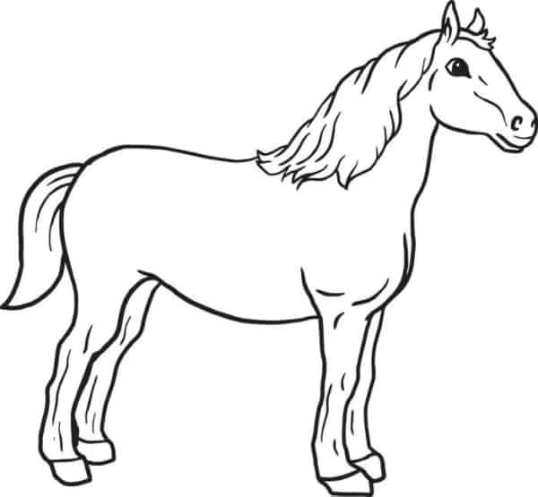 1 desenho simples de cavalo para pintar