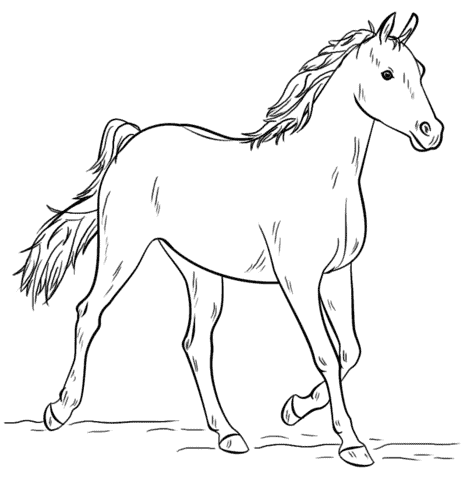 Desenho de Cavalo com sela a saltar para Colorir - Colorir.com