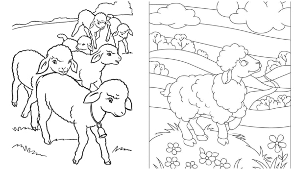 30 desenhos de ovelha no campo