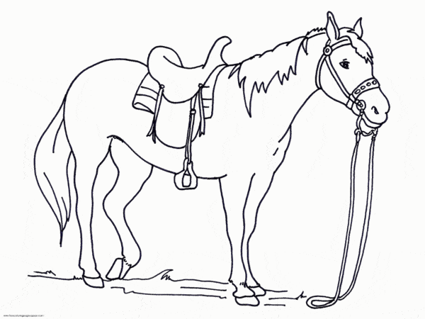4 desenho de cavalo com redea para colorir
