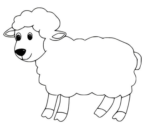 4 desenho simples de ovelha para imprimir e pintar