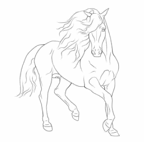 43 desenho para pintar de cavalo galopando