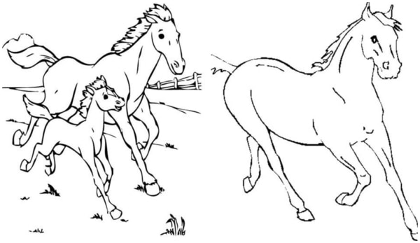 Desenho Para Colorir princesa a cavalo - Imagens Grátis Para Imprimir - img  31031