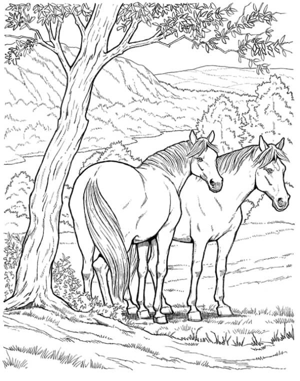 46 desenho de cavalos selvagens