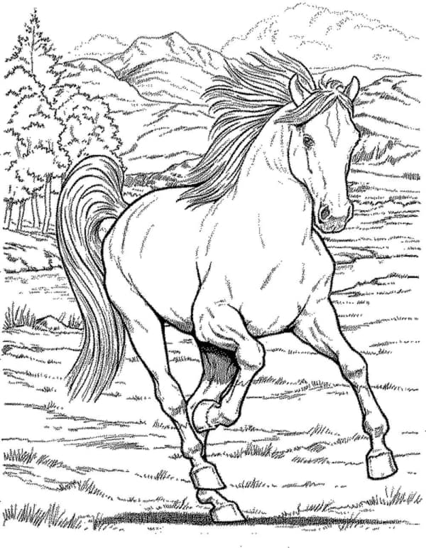 Desenho Para Colorir princesa a cavalo - Imagens Grátis Para Imprimir - img  31031