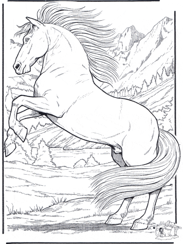 48 desenho de cavalo selvagem para imprimir e pintar