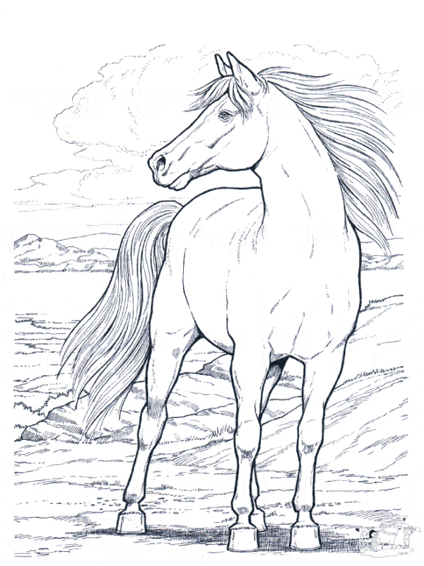 49 desenho de cavalo selvagem para imprimir gratis