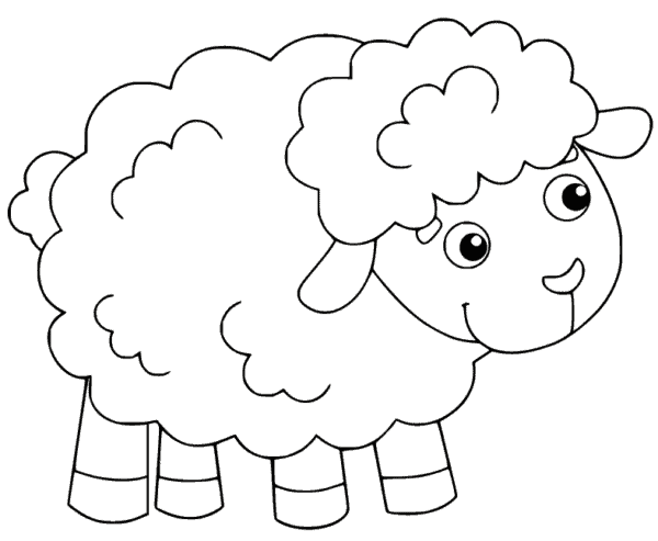 5 atividade de ovelha para colorir