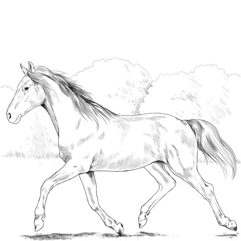 60 desenhos de【CAVALO PARA COLORIR】→ 100% Grátis!