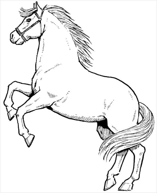57 desenho de cavalo para imprimir