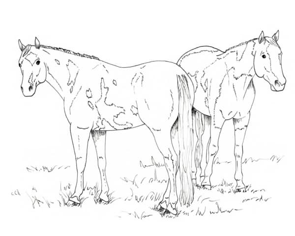 8 atividade de cavalo para pintar