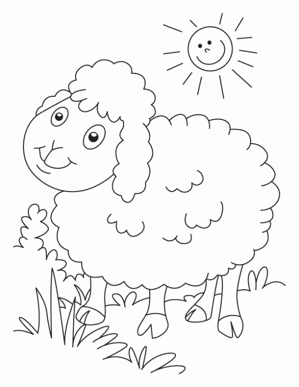 9 desenho simples de ovelha