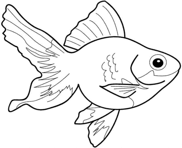 10 desenho de peixe gratis