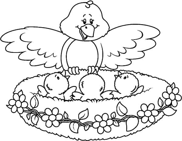 18 desenho de passarinho no ninho para imprimir gratis
