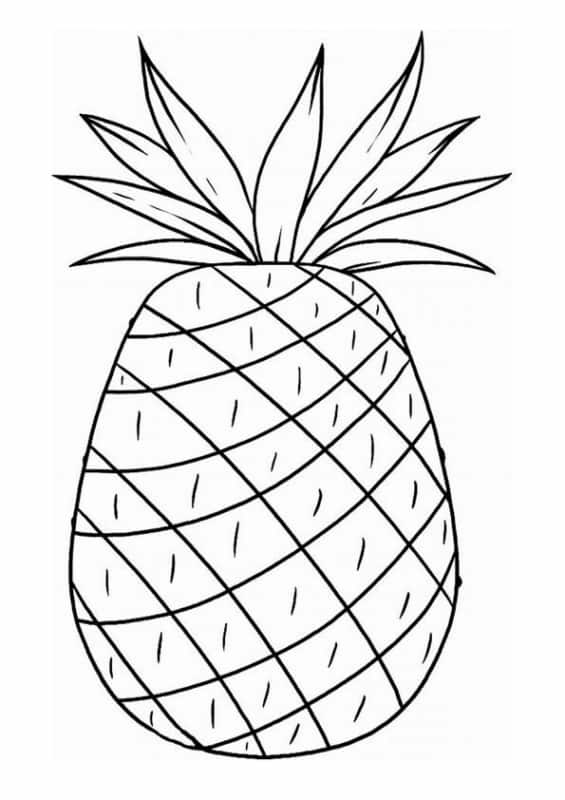 18 desenho para colorir gratis de abacaxi