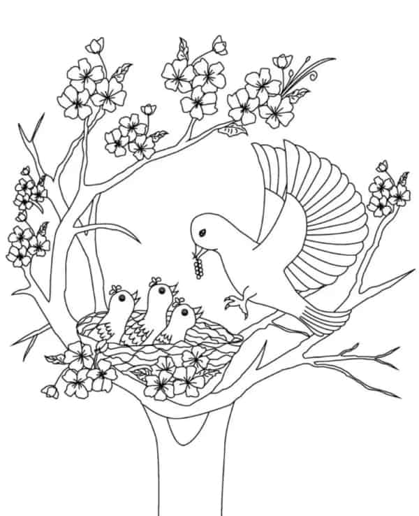 20 passarinho com filhotes no ninho para colorir