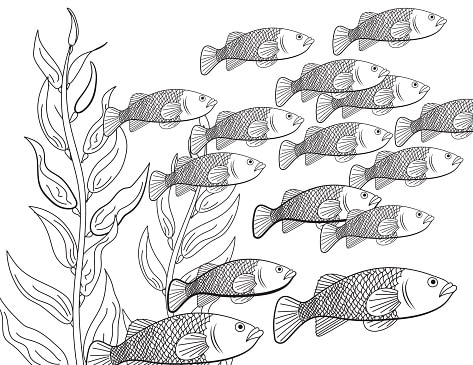 23 desenho gratis de cardume de peixe