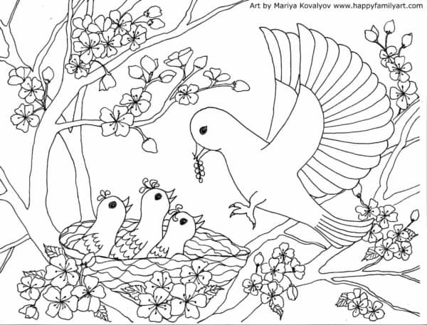 24 desenho de ave alimentando filhotes para colorir