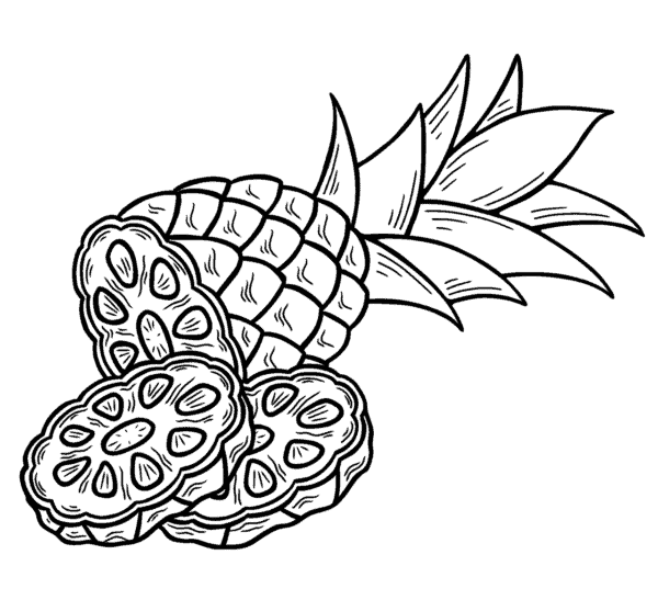 25 desenho de abacaxi fatiado para colorir