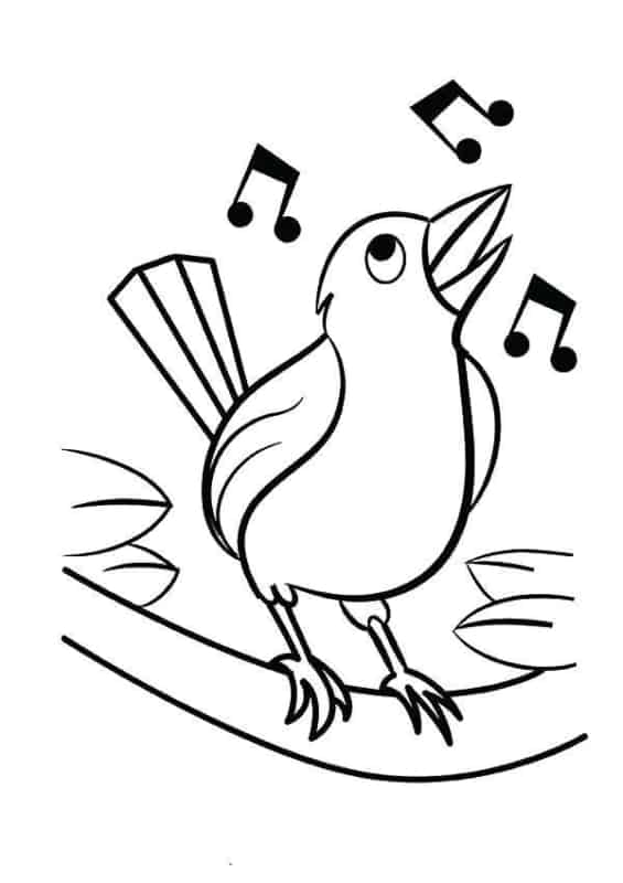 28 desenho de ave cantando para colorir