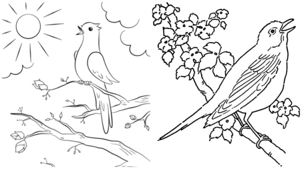 33 desenhos de passarinhos cantando para imprimir gratis