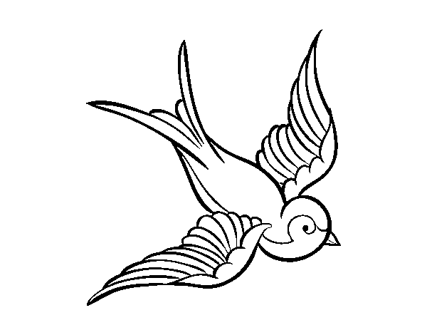 36 desenho de andorinha voando para colorir