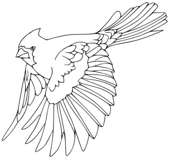 38 desenho de ave voando para imprimir gratis