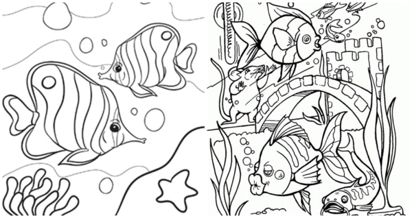 45 desenhos de peixes nadando para imprimir e colorir
