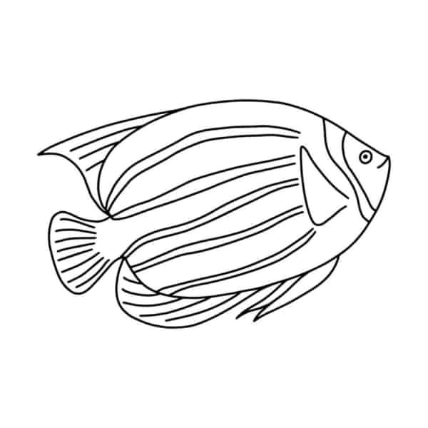 6 desenho de peixe para pintar