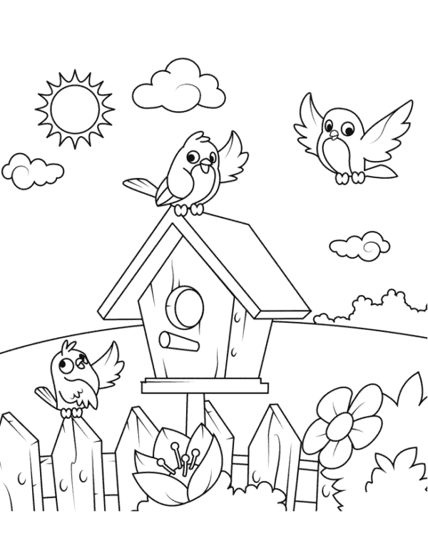 6 passarinhos na casinha para colorir